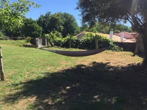 Quinta Grande da Raposeira - Image 5