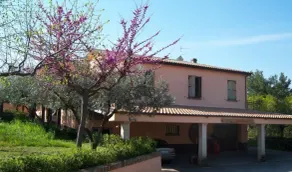 Azienda Vitivinicola Sergio Del Casale - Image 3