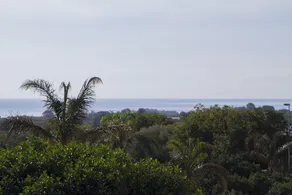 Il Giardino Dei Sogni - Image 5