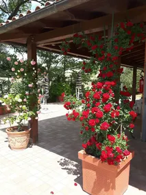B&B La Casa Di Campagna - Image 3