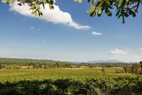 Les Terres de Saint Hilaire - Image 3