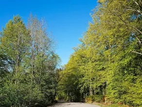 4 Star Holiday Home in Vargön - Image 3