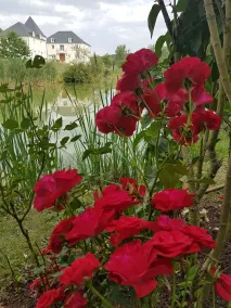 Domaine De Lardoisière - Image 3