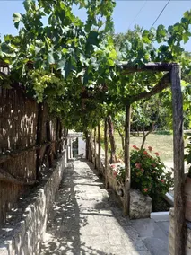 Pervola Hotel - Image 3