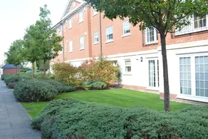 SDP Lets Newbury - Image 3