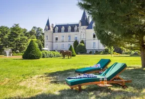 Château des Tesnières - Image 5