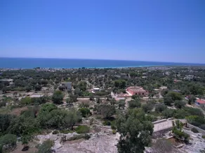 Bellevue vista mare panoramica Pescoluse - Image 4
