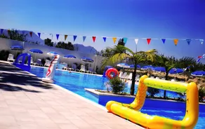 Salicamp - Image 2