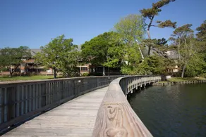 Beautiful & Spacious Myrtle Beach Condo Near Beach - Image 5