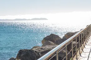 BALENA 21 - Image 3
