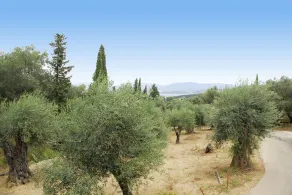 Villa Fedra - Image 4