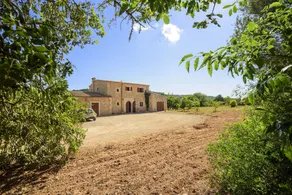 Son Peris - Image 4