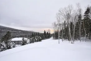 Chalet L'Harmonie - Image 4