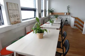Vibrant Iceland Hostel - Image 2