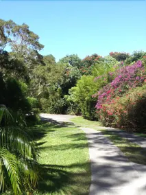 Hale Kukui Orchard & Resort - Image 3