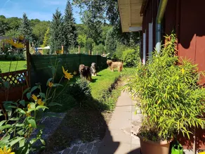 Blissful Holiday Home In	battenberg With Fenced Garden - Image 3