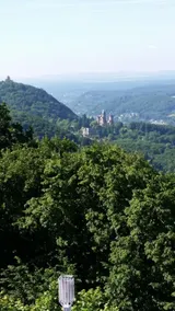 Zum Jägerstübchen - Image 4