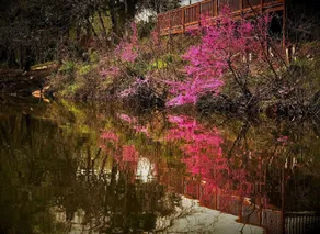 The Monastery At Forest Lake - Image 3