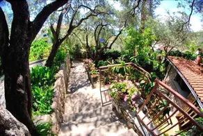 Elena Guest House - Image 3