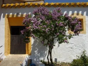 Cortijo Los Nopales - Image 2