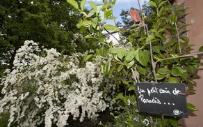 Locanda Ilune - Image 4
