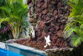 VILLA DIAMOND - Image 3