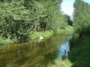 Riverside Hotel Heathrow - Image 3