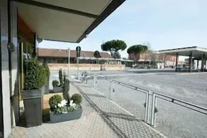 Alexander - Image 4