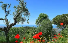 Stunning Home in Santa Maria Albiano With Outdoor Swimming Pool, Wifi and 3 Bedrooms - Image 3