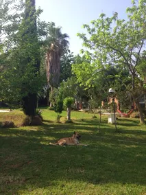 Villa With 3 Bedrooms in Merida, With Wonderful Mountain View, Private - Image 5