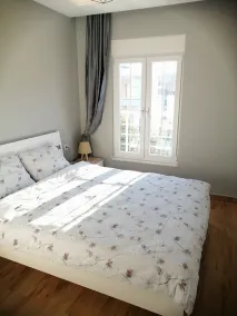 Orange and Lemon Homes - Image 3