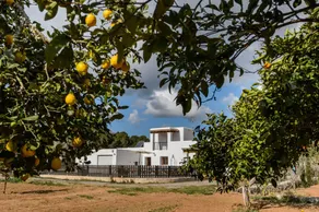 Los Naranjos - Image 5