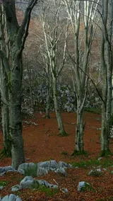 La Casuca Nandin - Image 2