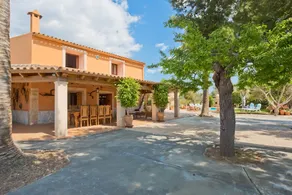 Villa Erika - Image 4
