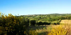 Fattoria Primavera - Image 5