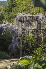 Pepper Tree Cottage - Image 3