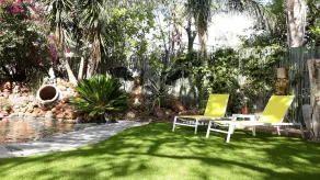 The Orange Bowl - Image 4