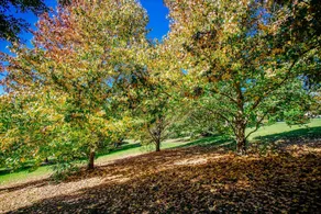 Avoca Valley Boutique B&B - Image 4