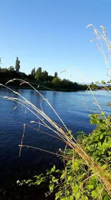 House with 2 bedrooms in Campbell River with wonderful mountain view furnished terrace and WiFi 6 km - Image 4