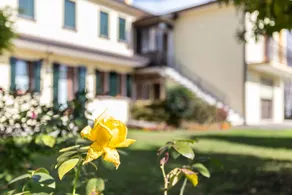 Home Near Venice - Image 3