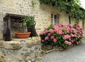 Chambres d'Hotes Chez Josette et Didier - Image 4