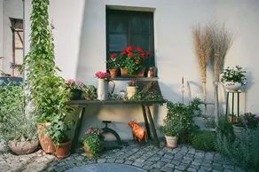 Sankt Nicolai Pension - Image 4