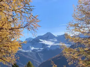 Bergfreude - Image 4