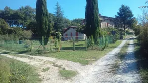 Tana Del Tasso - Image 3