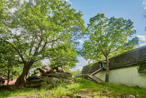 Tentrr - Abandoned Zoo Wooded Site - Image 4