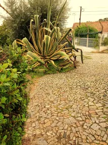 House With 2 Bedrooms in Arraiolos, With Enclosed Garden and Wifi - Image 4