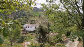 Mas Ardèvol - Image 3