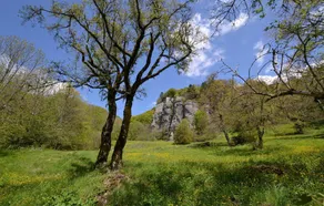 Beautiful Home in Pieve Santo Stefano With 3 Bedrooms - Image 5