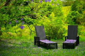 Terania Green Boutique Cottages - Image 5