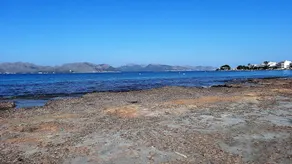 Can Panseta - Image 4